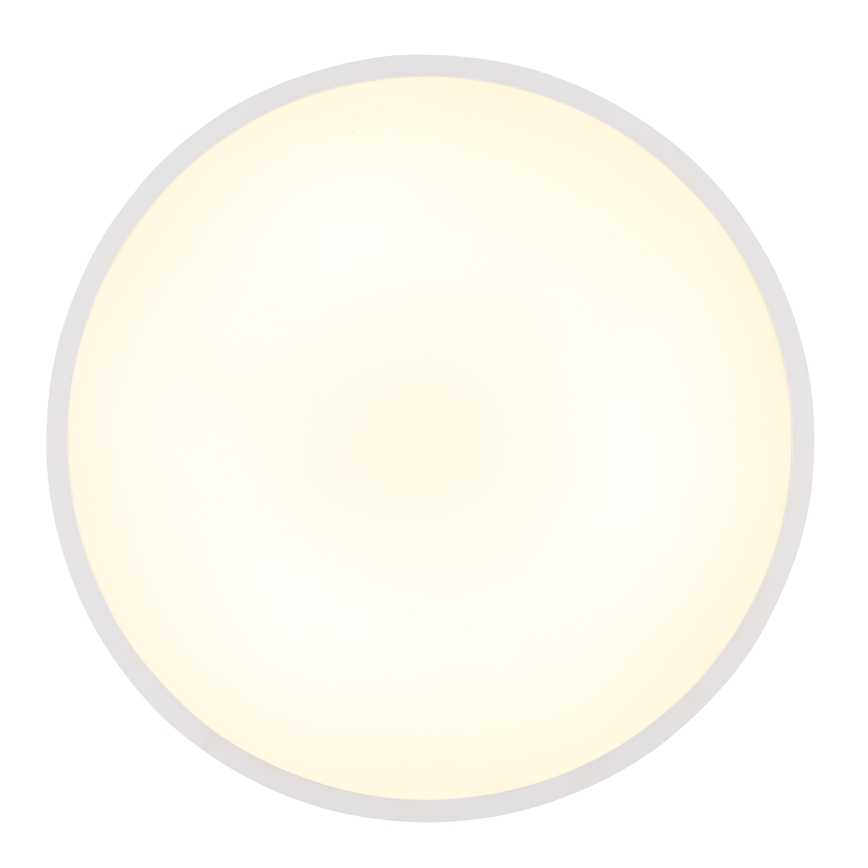 Globo - LED Griestu lampa LED/32W/230V 4000K d. 40 cm balta