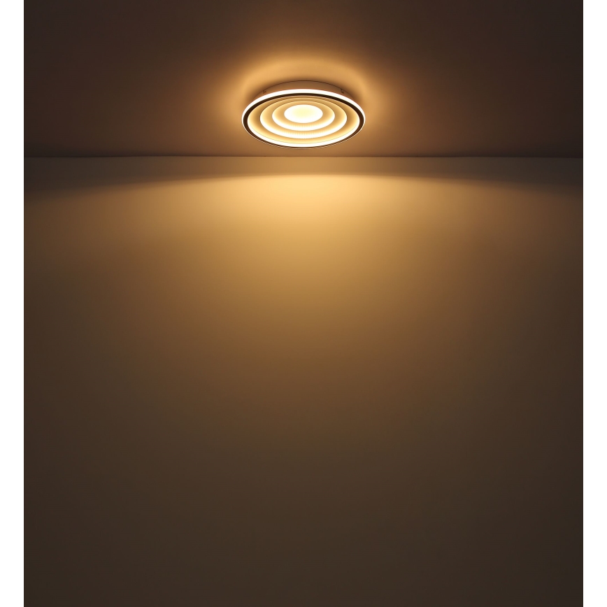 Globo - LED Griestu lampa LED/24W/230V