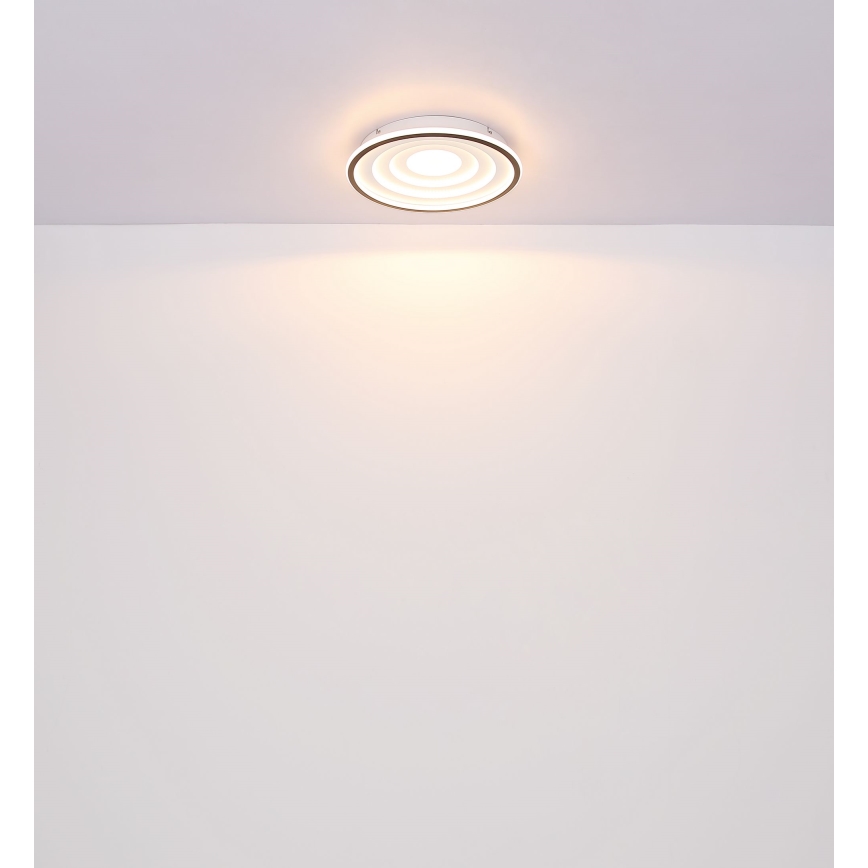 Globo - LED Griestu lampa LED/24W/230V