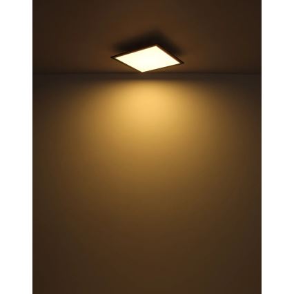 Globo - LED Griestu lampa LED/24W/230V