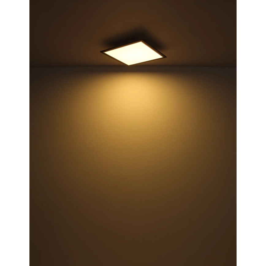Globo - LED Griestu lampa LED/24W/230V