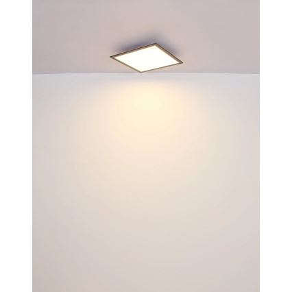 Globo - LED Griestu lampa LED/24W/230V