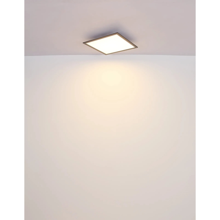 Globo - LED Griestu lampa LED/24W/230V
