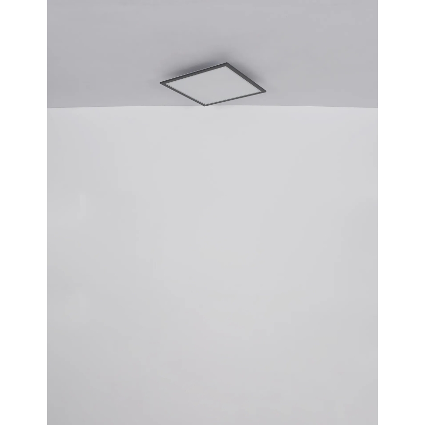 Globo - LED Griestu lampa LED/24W/230V