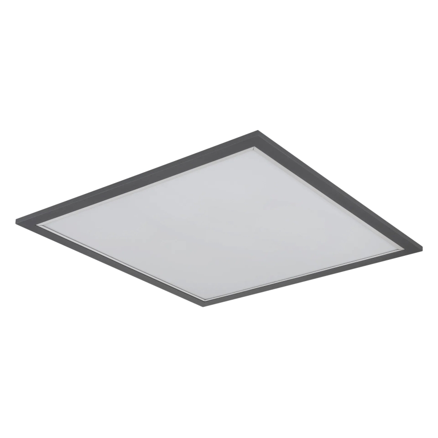 Globo - LED Griestu lampa LED/24W/230V