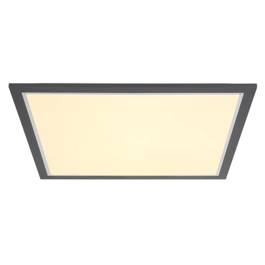 Globo - LED Griestu lampa LED/24W/230V