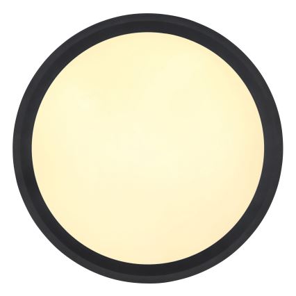 Globo - LED Griestu lampa LED/30W/230V d. 30 cm