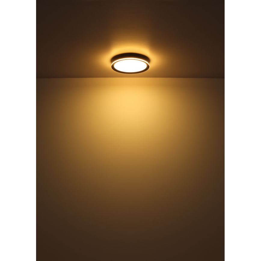Globo - LED Griestu lampa LED/39W/230V d. 40 cm