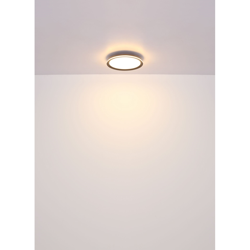 Globo - LED Griestu lampa LED/39W/230V d. 40 cm