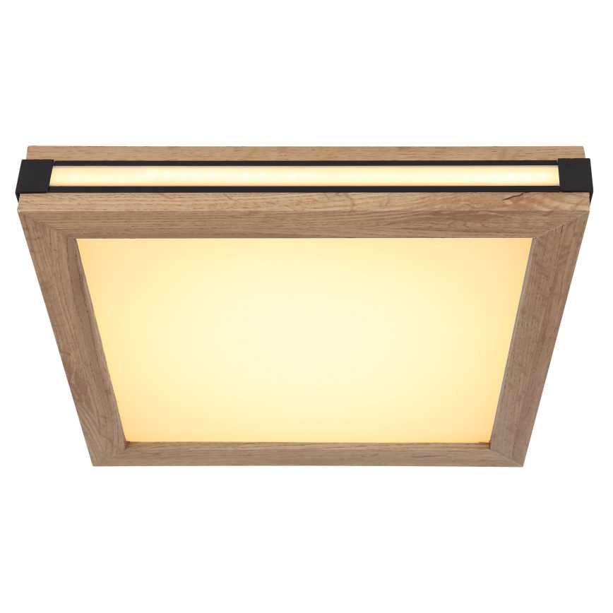 Globo - LED Griestu lampa LED/12W/230V 30x30 cm