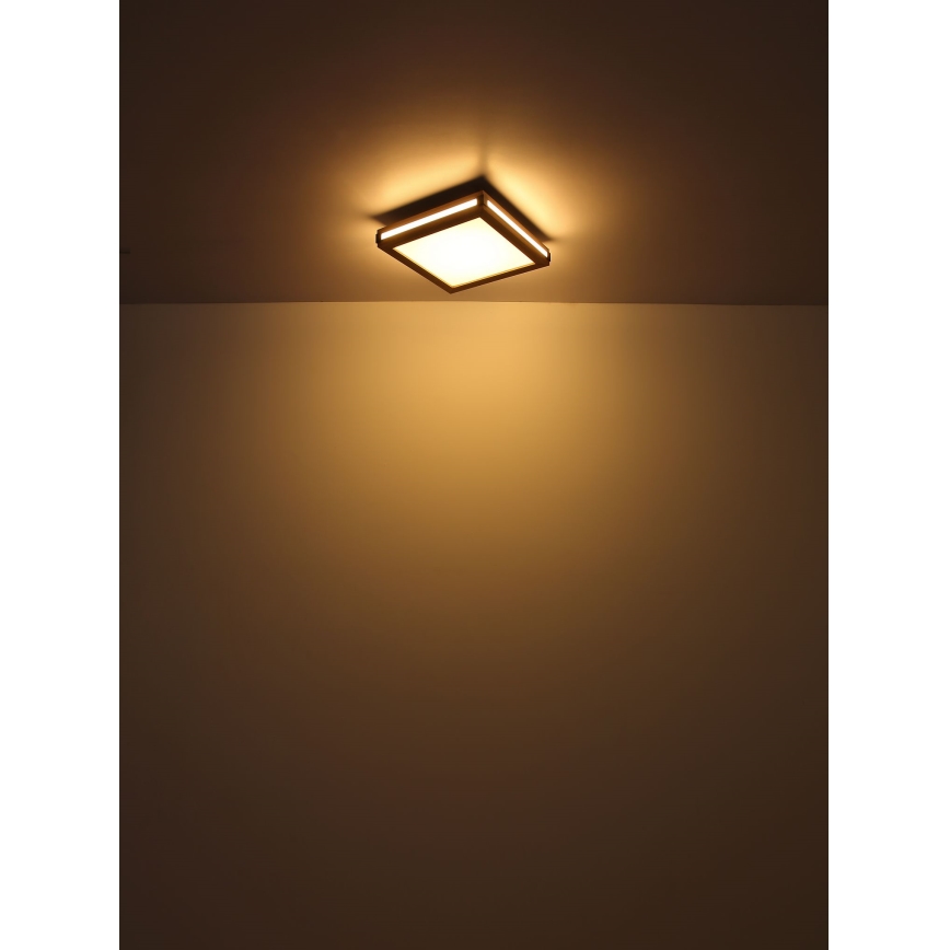 Globo - LED Griestu lampa LED/24W/230V 45x45 cm