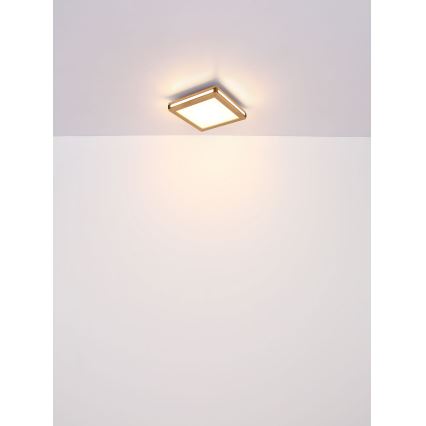 Globo - LED Griestu lampa LED/24W/230V 45x45 cm