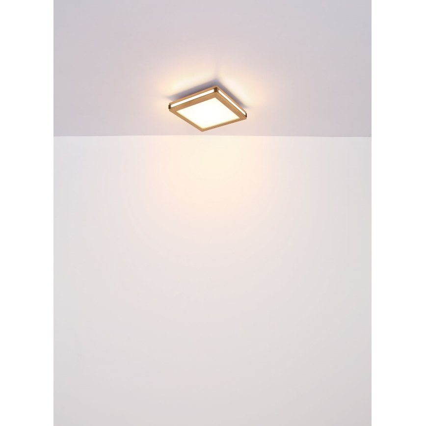 Globo - LED Griestu lampa LED/24W/230V 45x45 cm