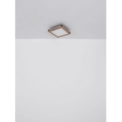Globo - LED Griestu lampa LED/24W/230V 45x45 cm