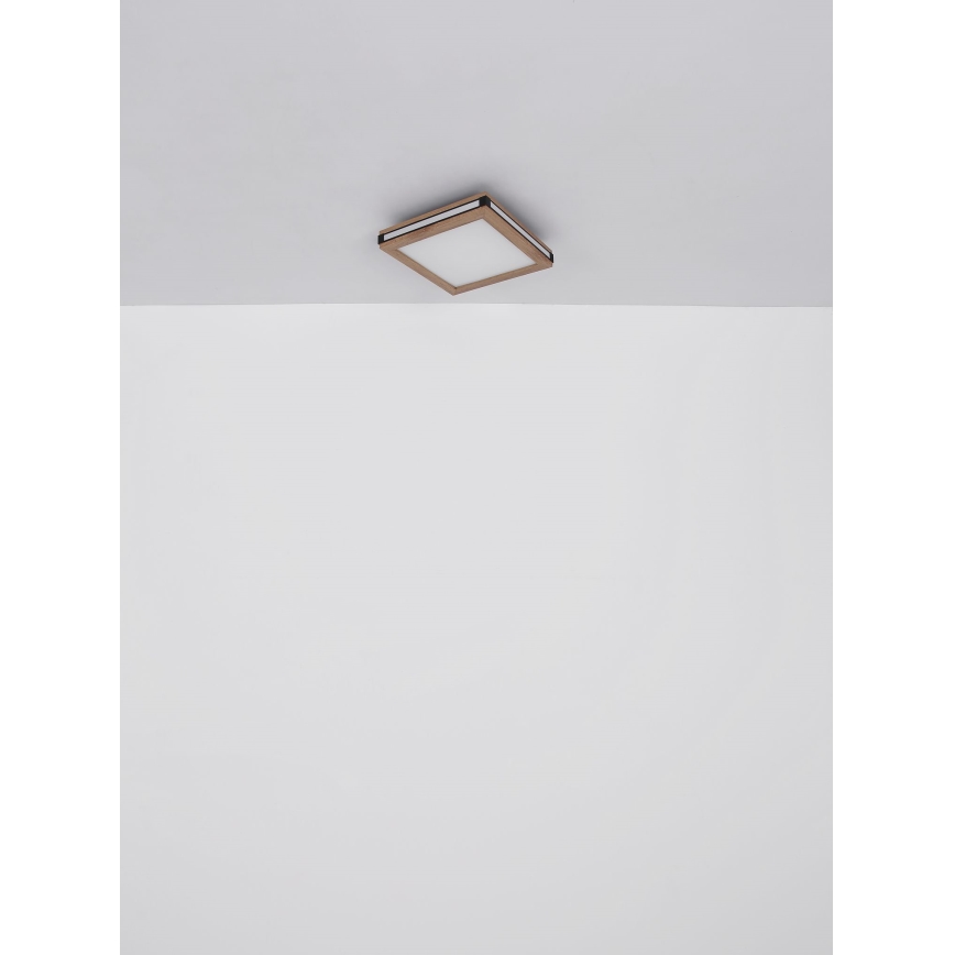 Globo - LED Griestu lampa LED/24W/230V 45x45 cm