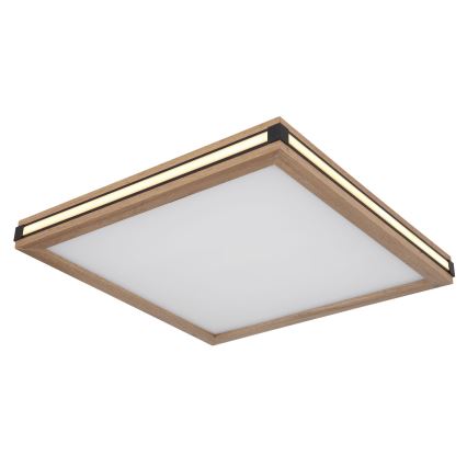 Globo - LED Griestu lampa LED/24W/230V 45x45 cm