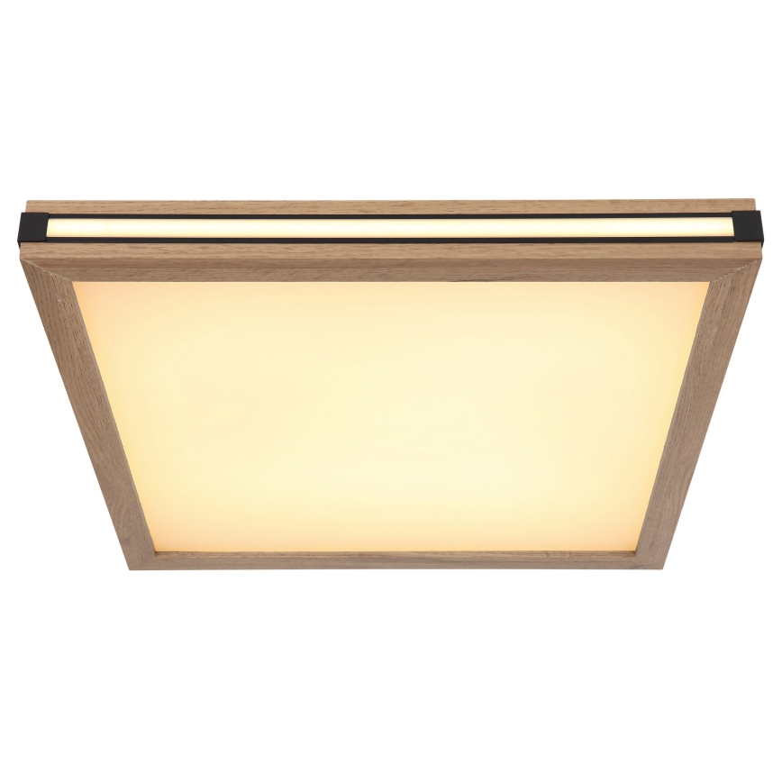 Globo - LED Griestu lampa LED/24W/230V 45x45 cm