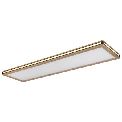 Globo - LED Aptumšojama griestu lampa LED/36W/230V 3000K 30x120 cm