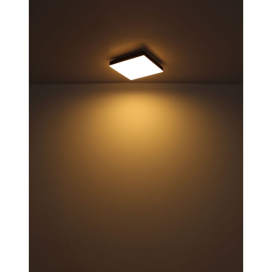Globo - LED Griestu lampa LED/18W/230V 30x30 cm melna