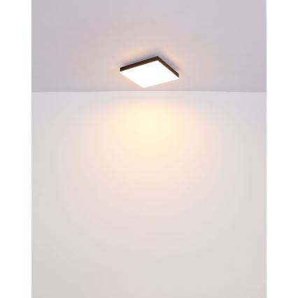 Globo - LED Griestu lampa LED/18W/230V 30x30 cm melna