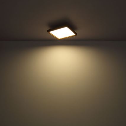 Globo - LED Griestu lampa LED/12W/230V 2700/4500/6500K 30x30 cm