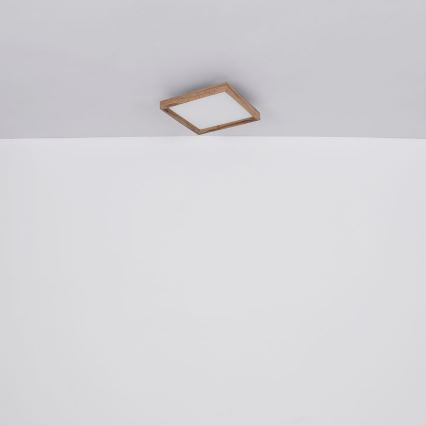 Globo - LED Griestu lampa LED/12W/230V 2700/4500/6500K 30x30 cm