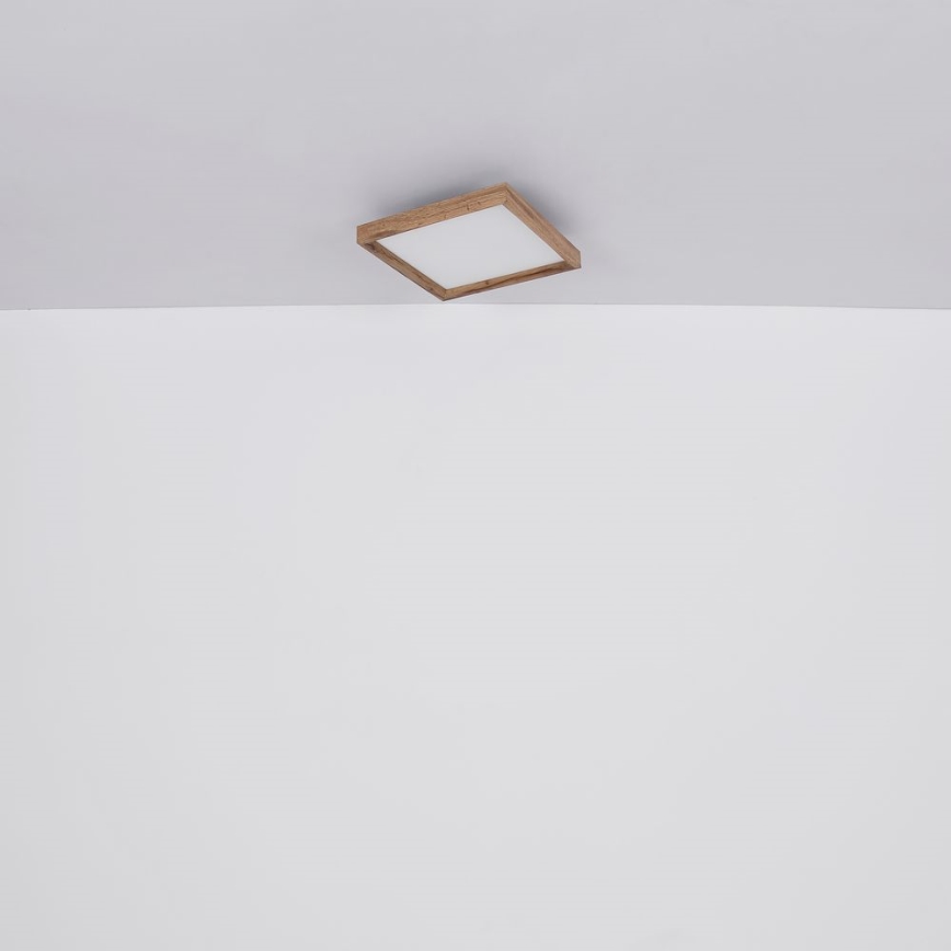 Globo - LED Griestu lampa LED/12W/230V 2700/4500/6500K 30x30 cm