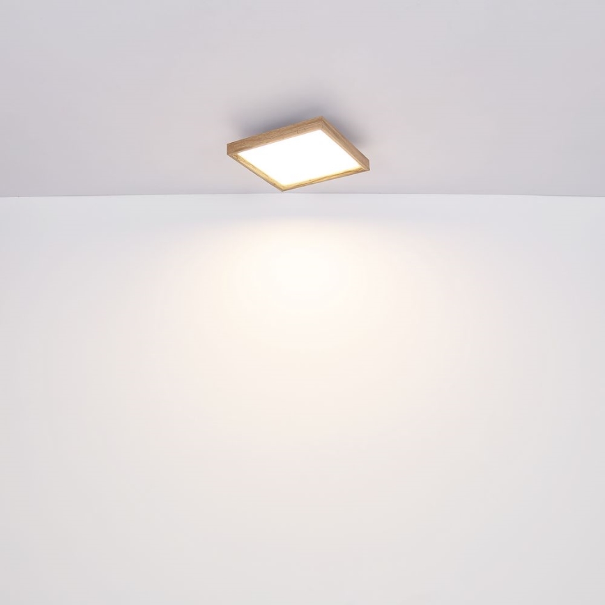 Globo - LED Griestu lampa LED/24W/230V 45cm 2700/4500/6500K