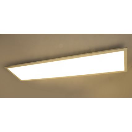 Globo - Virsapmetuma panelis LED/40W/230V