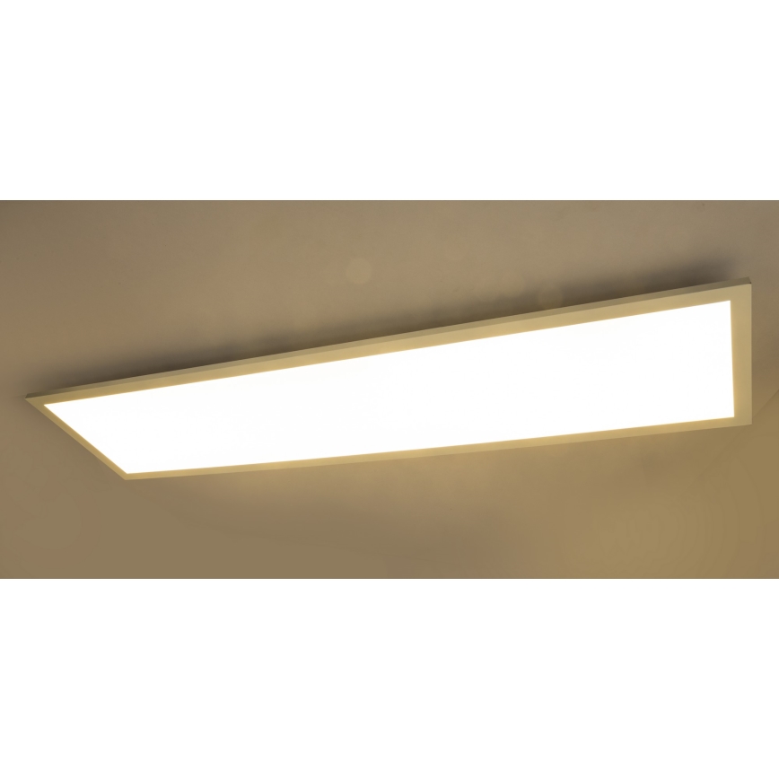 Globo - Virsapmetuma panelis LED/40W/230V