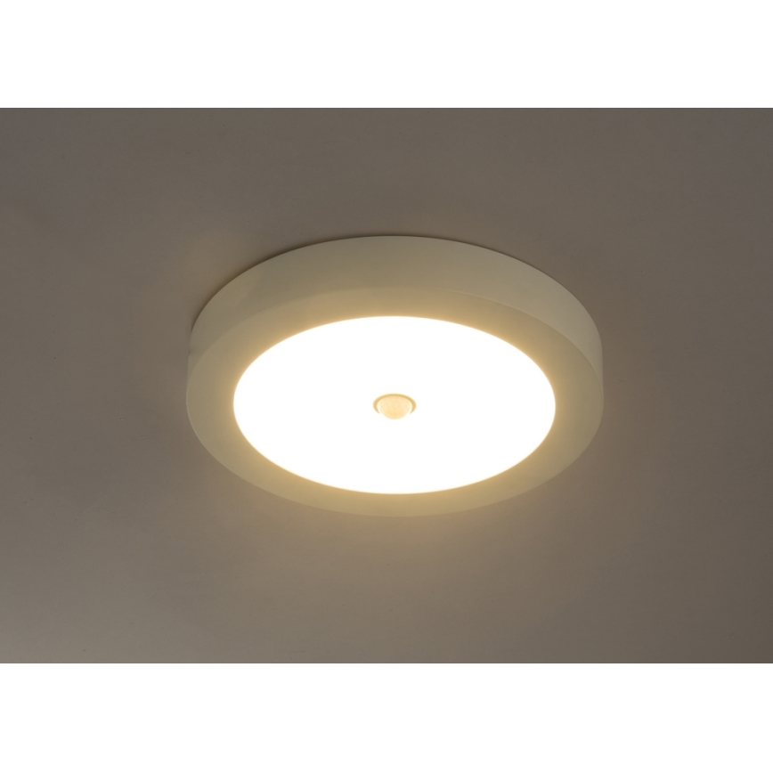 Globo 41605-18S - LED Āra griestu gaismeklis ar sensoru PAULA 1xLED/18W/230V