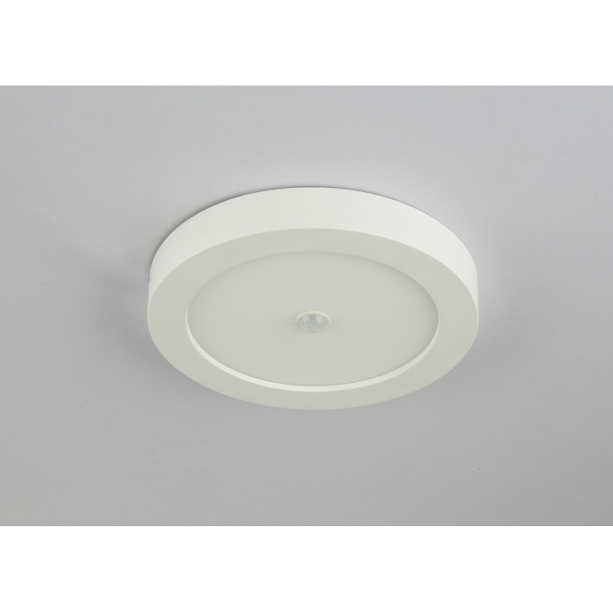 Globo 41605-18S - LED Āra griestu gaismeklis ar sensoru PAULA 1xLED/18W/230V