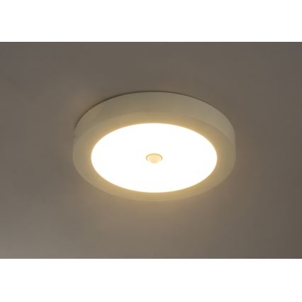 Globo - LED āra griestu gaismeklis ar sensoru LED/18W/230V IP44