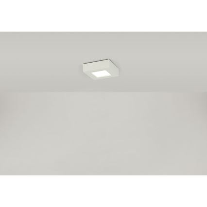 Globo - LED Griestu lampa SVENJA 1xLED/9W/230V 3000/4000/6000K