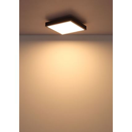 Globo - LED Griestu lampa LED/12W/230V 3000K 30x30 cm