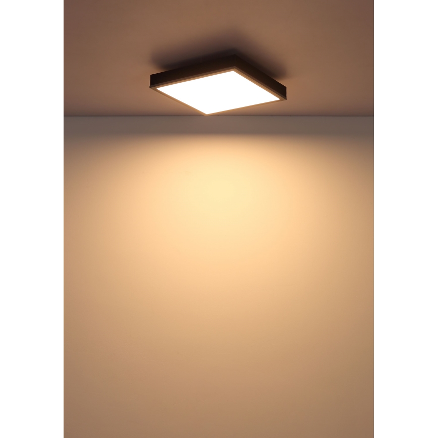 Globo - LED Griestu lampa LED/12W/230V 3000K 30x30 cm