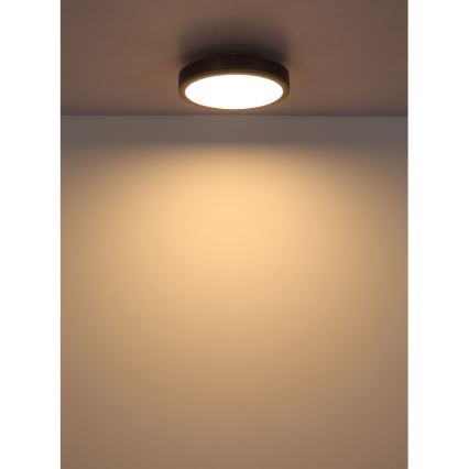 Globo - LED Griestu lampa LED/12W/230V 3000K d. 30 cm