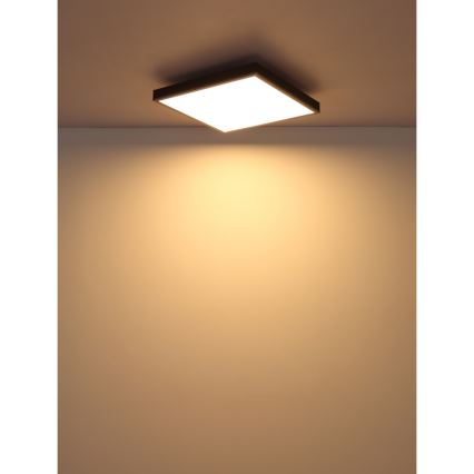 Globo - LED Griestu lampa LED/24W/230V 3000K 45x45 cm