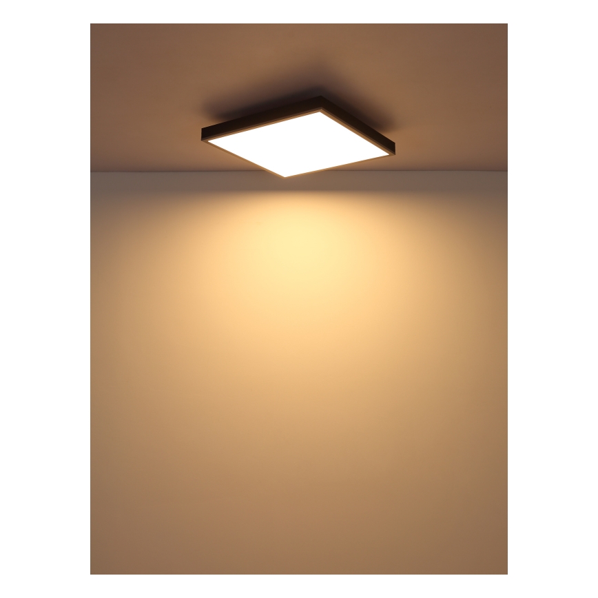 Globo - LED Griestu lampa LED/24W/230V 3000K 45x45 cm
