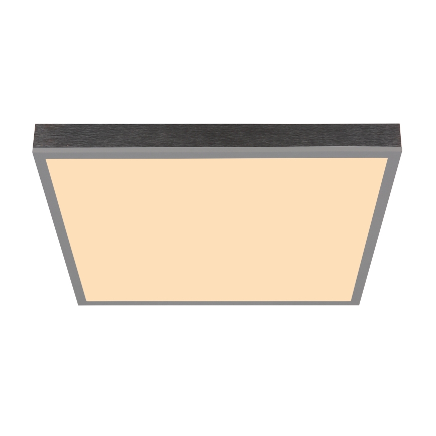 Globo - LED Griestu lampa LED/24W/230V 3000K 45x45 cm