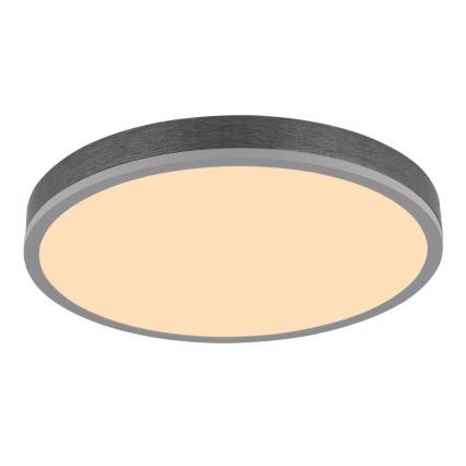 Globo - LED Griestu lampa LED/24W/230V 3000K d. 45 cm