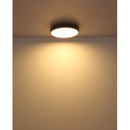 Globo - LED Griestu lampa LED/24W/230V 3000K d. 45 cm