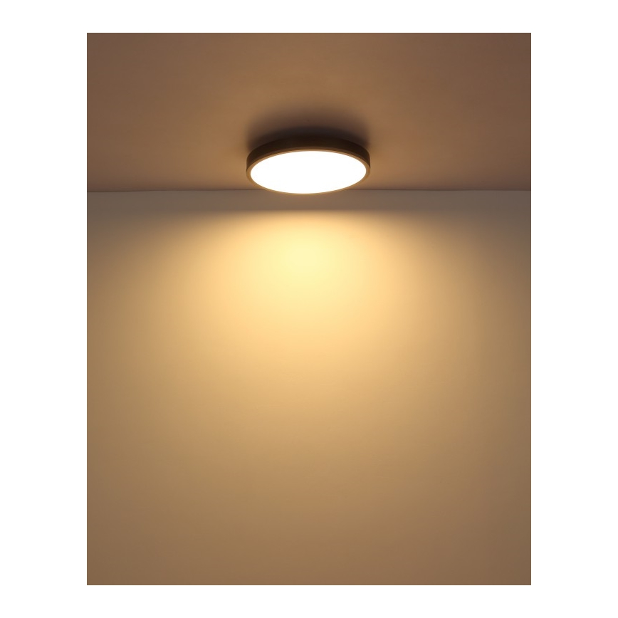 Globo - LED Griestu lampa LED/24W/230V 3000K d. 45 cm