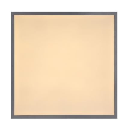 Globo - LED griestu gaismeklis LED/24W/230V