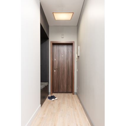 Globo - LED Griestu gaismeklis LED/24W/230V