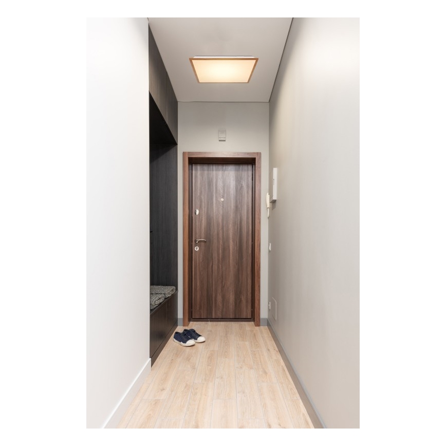 Globo - LED Griestu gaismeklis LED/24W/230V
