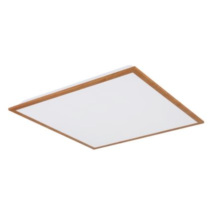 Globo - LED Griestu gaismeklis LED/24W/230V