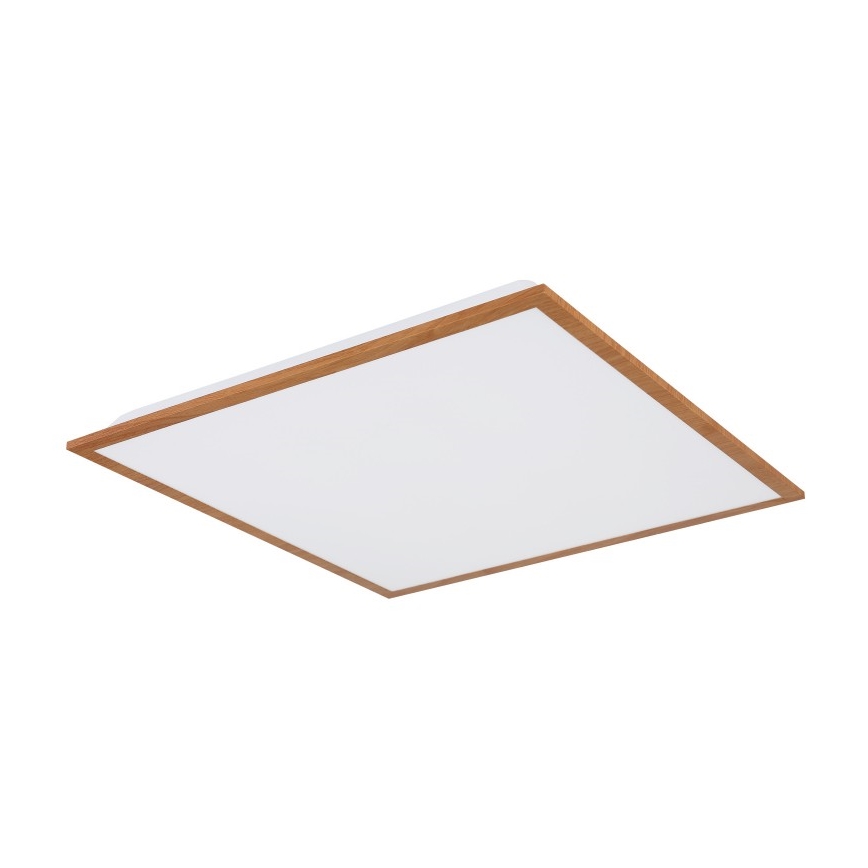 Globo - LED Griestu gaismeklis LED/24W/230V
