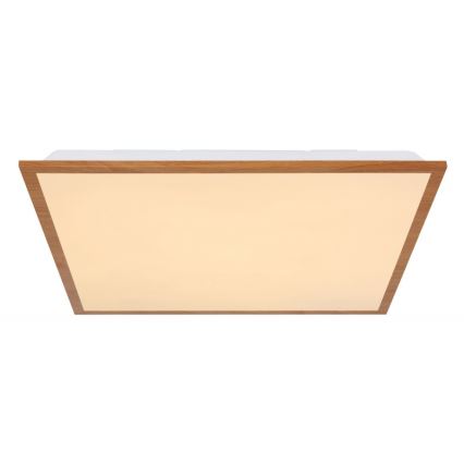 Globo - LED Griestu gaismeklis LED/24W/230V