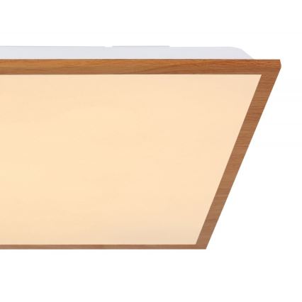 Globo - LED Griestu gaismeklis LED/24W/230V